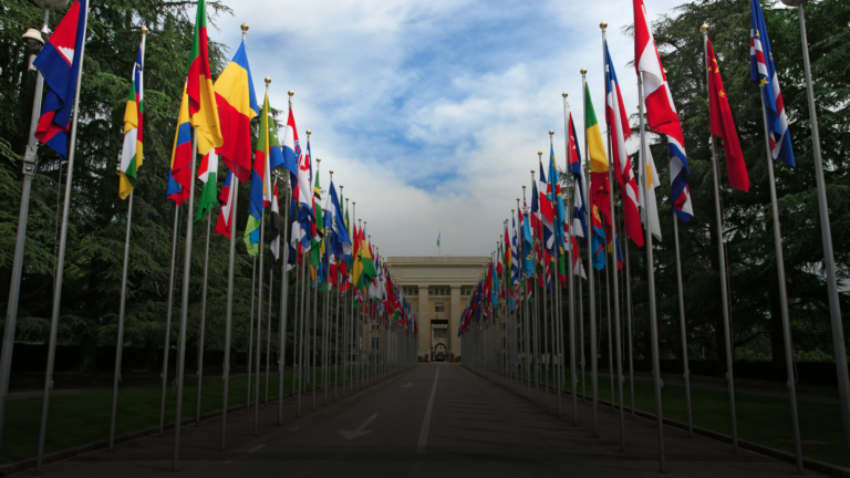 Os Objetivos de Desenvolvimento Sustentável (ODS) da ONU. 