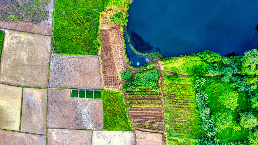 Cadastro Ambiental Rural (CAR): O Primeiro Passo para a Regularização Ambiental