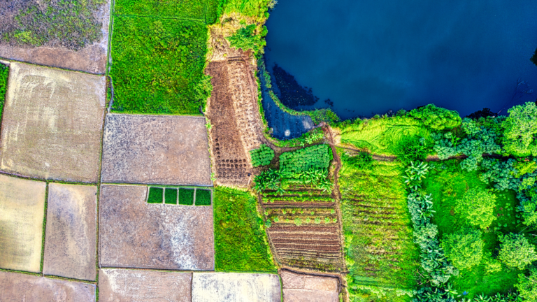 Cadastro Ambiental Rural (CAR): O Primeiro Passo para a Regularização Ambiental