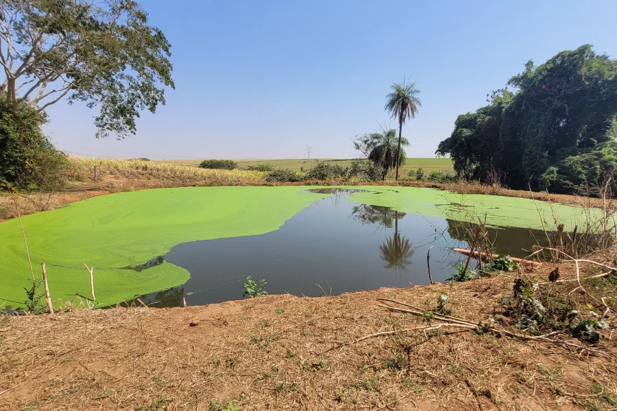 Saneamento Ambiental