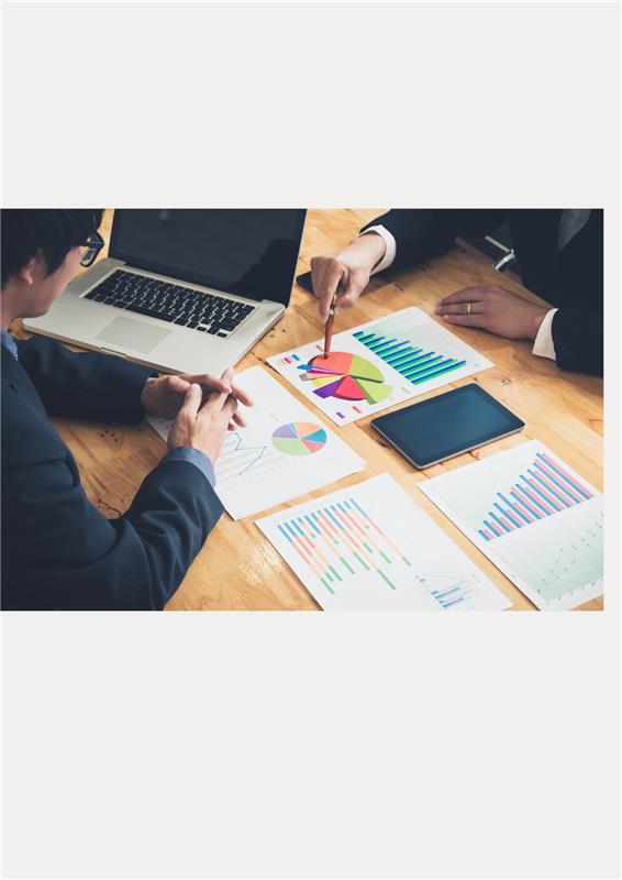 Assessoria Ambiental: O Caminho para uma Empresa Sustentável