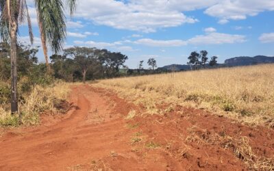 Prevenção de incêndios em áreas rurais e industriais: um guia prático