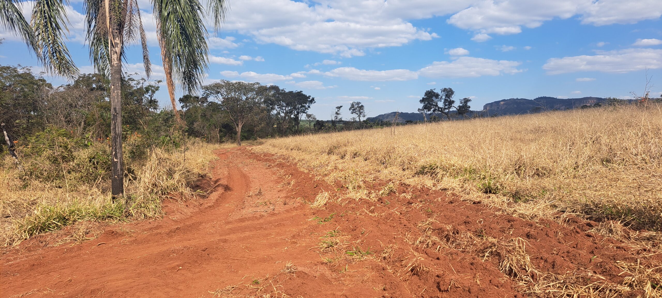 Prevenção de incêndios em áreas rurais e industriais: um guia prático