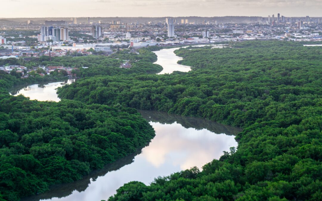 Estudos hidrológicos: o que são, para que servem e como solicitar